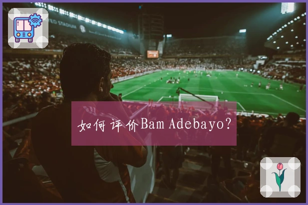 如何评价Bam Adebayo？