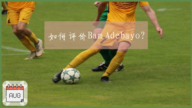 如何评价Bam Adebayo?
